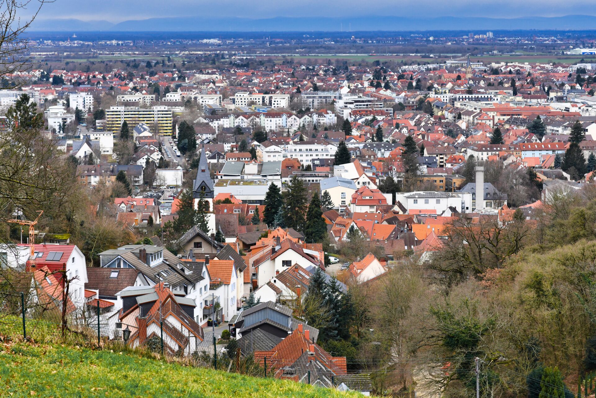 Weitläufige Ansicht von Rohrbach mit roten Dächern und dem Neckar im Hintergrund. Immobilienangebote von Hauschulz Immobilien Service.
