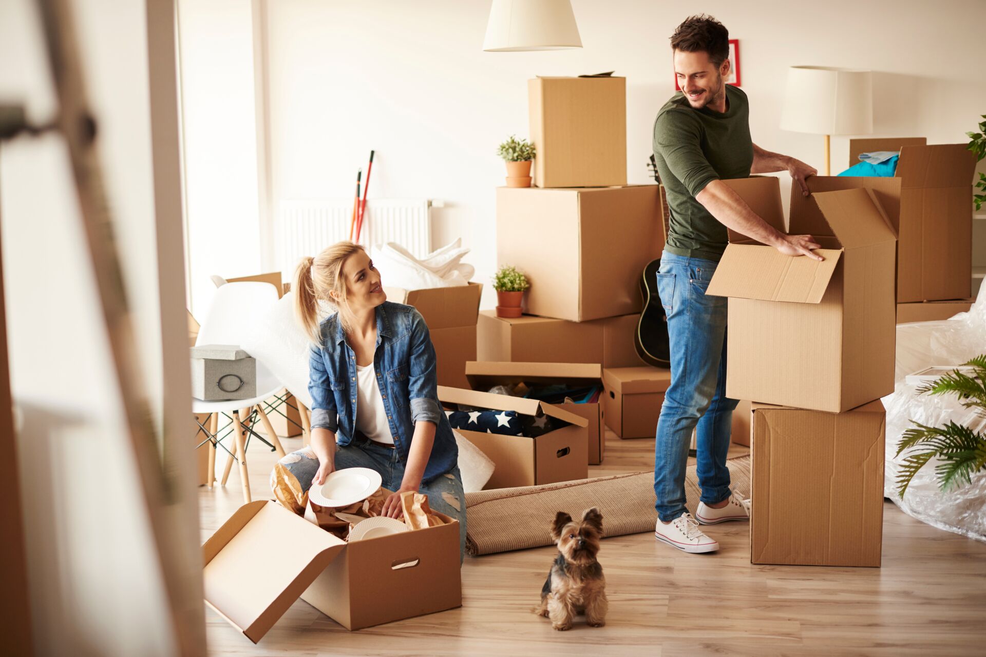 Junges Paar packt Umzugskartons in einer hellen Wohnung. Kleiner Hund schaut zu. Hauschulz Immobilien Service als Umzugshelfer denkbar.
