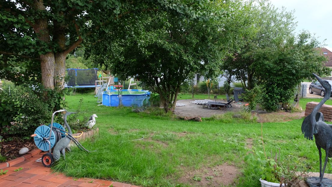Blick in den Garten mit Bäumen, Trampolin und kleinem Pool